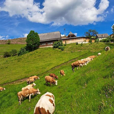 Appartamento Bio-Peisingerhof Sankt Stefan ob Leoben Esterno foto