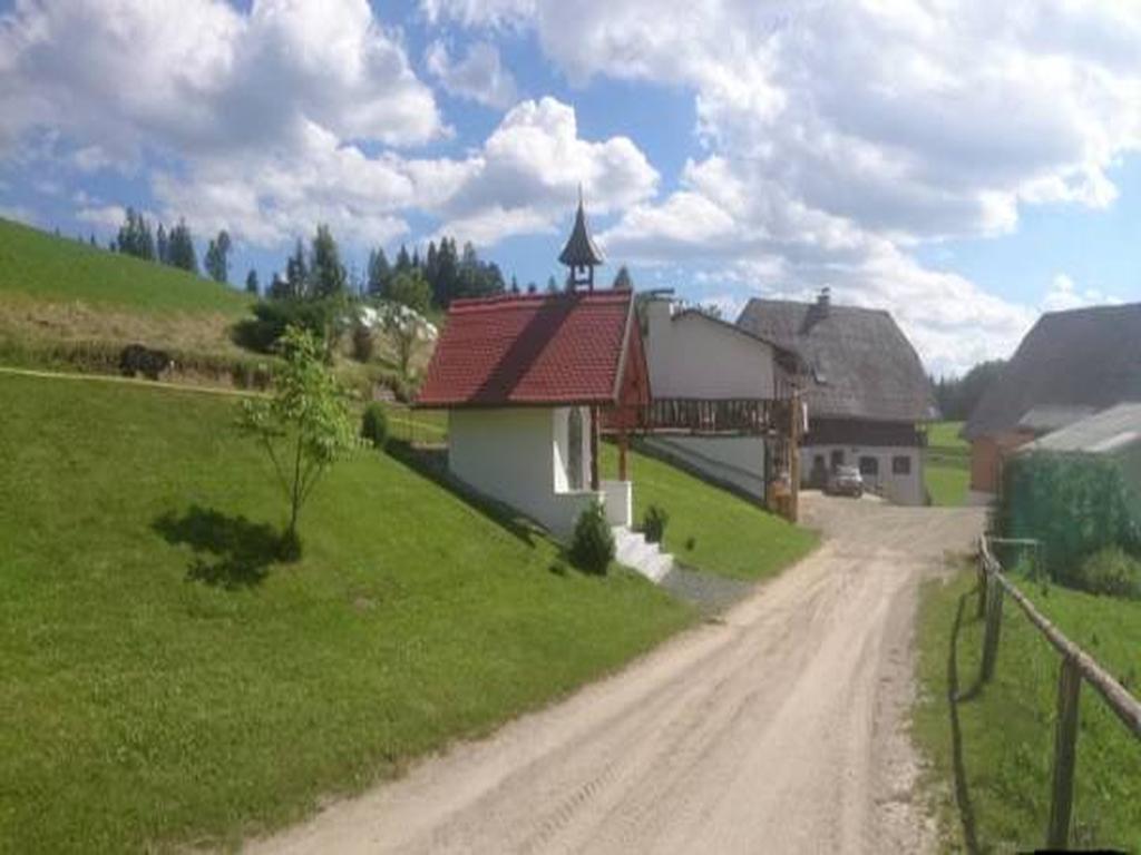 Appartamento Bio-Peisingerhof Sankt Stefan ob Leoben Esterno foto
