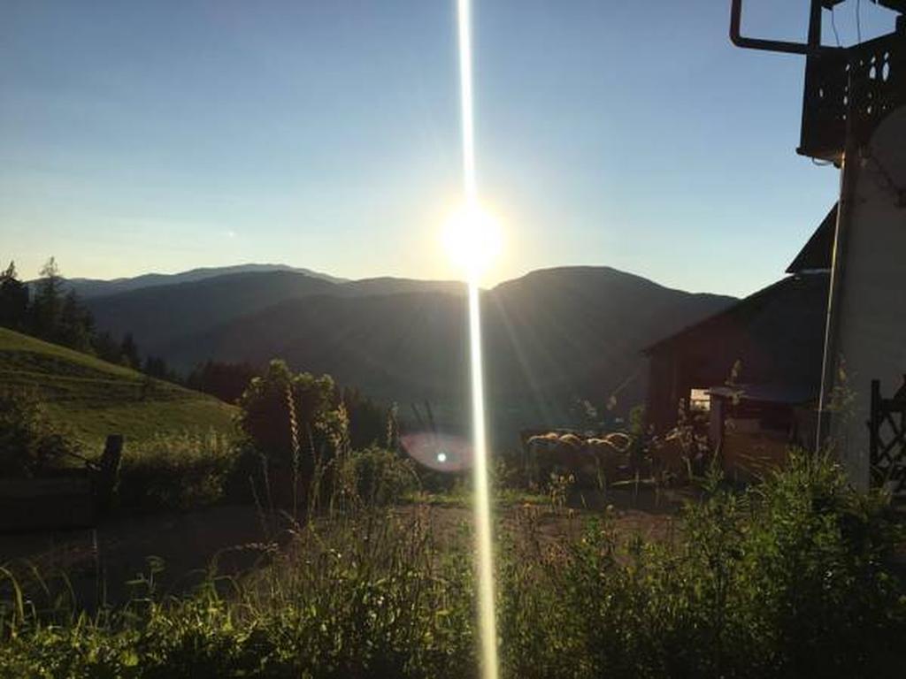 Appartamento Bio-Peisingerhof Sankt Stefan ob Leoben Esterno foto