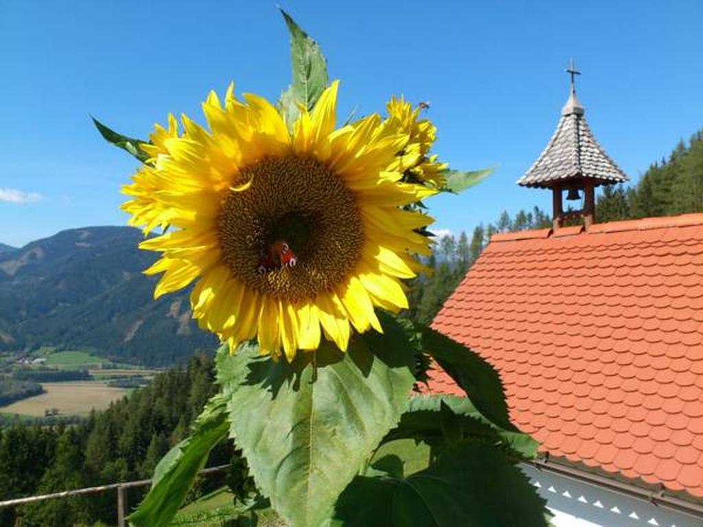 Appartamento Bio-Peisingerhof Sankt Stefan ob Leoben Esterno foto