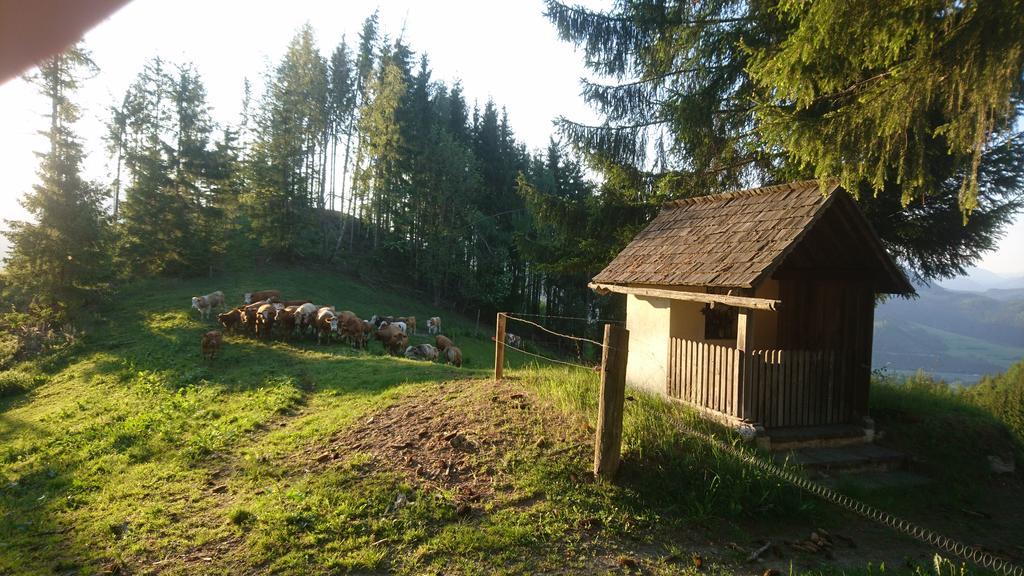 Appartamento Bio-Peisingerhof Sankt Stefan ob Leoben Esterno foto